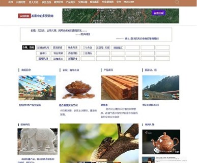我们为云南某公司设计的双语网站